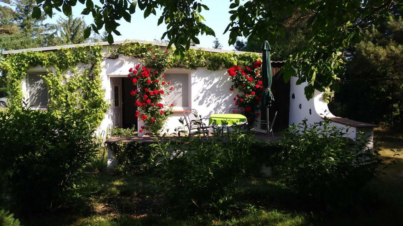 Ferienhaeuschen Βίλα Born Εξωτερικό φωτογραφία